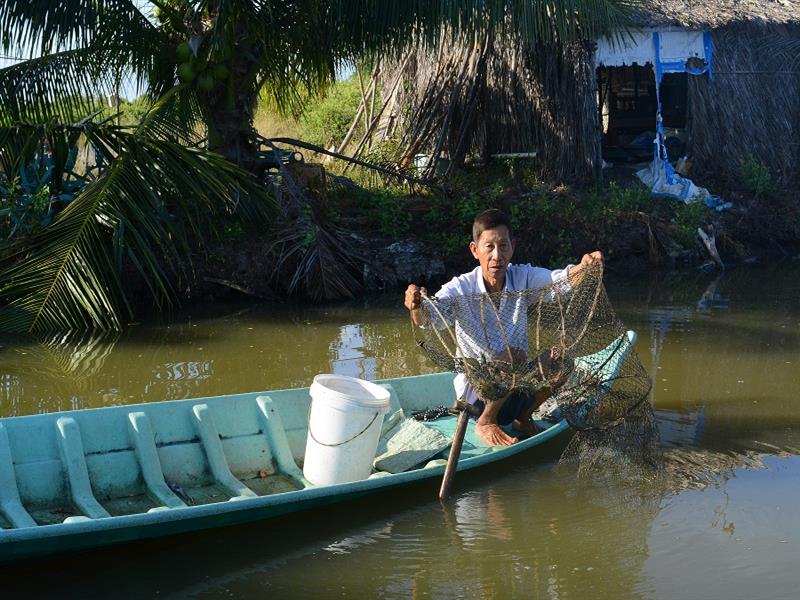 Huyện Phú Tân (Cà Mau): Nuôi tôm quảng canh cải tiến hai giai đoạn lợi nhuận 80 triệu đồng/ha/vụ