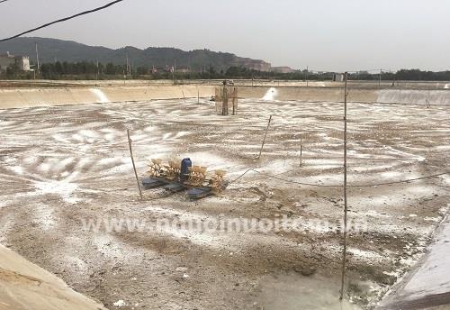 Làm sao để loại bỏ vi bào tử trùng trong ao tôm