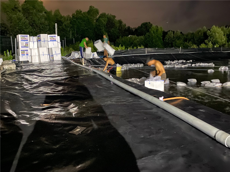 Đừng thần thánh con giống, cũng đừng đổ thừa khi thất bại