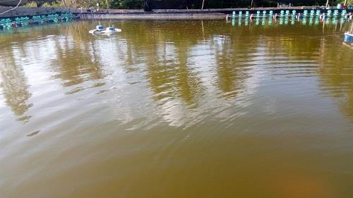 câu hỏi về môi trường nước trong ao nuôi tôm