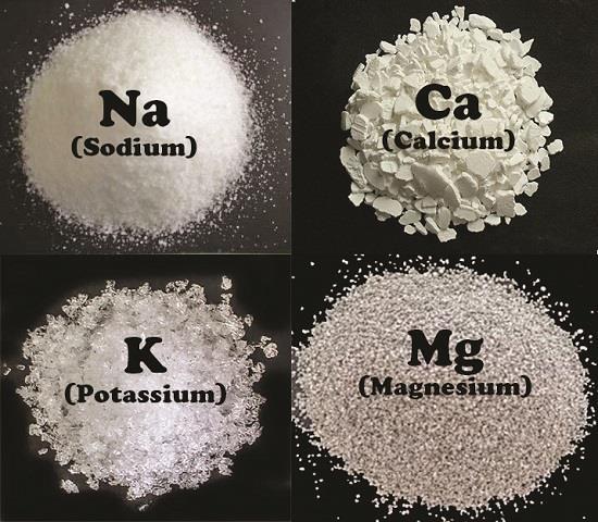 Có nên thêm kali và magiê vào nước ao nuôi tôm?