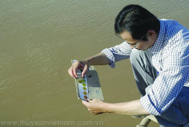 Độ PH cao hay thấp có ảnh hưởng đến quá trình nuôi tôm không