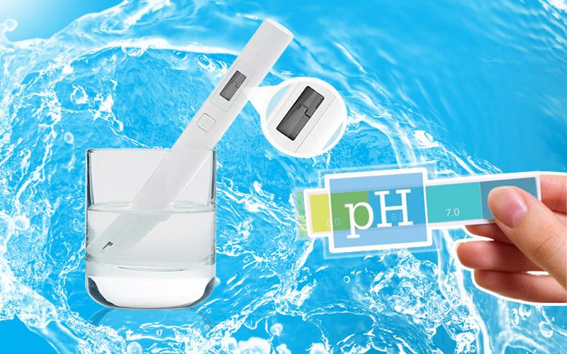 Hướng Dẫn Quản lý độ pH trong ao nuôi tôm