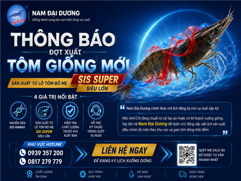 Tôm giống SIS Superior Nam Đại Dương – Nguồn gen mới 2026